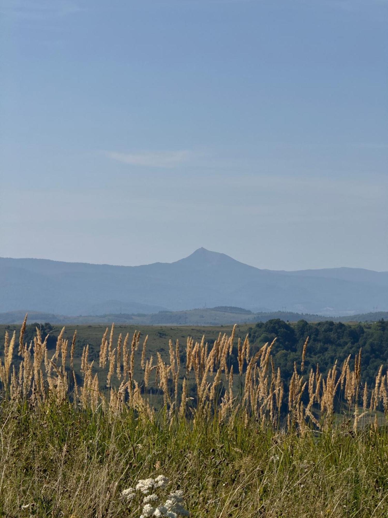 Під Боржавою Volovets Dış mekan fotoğraf