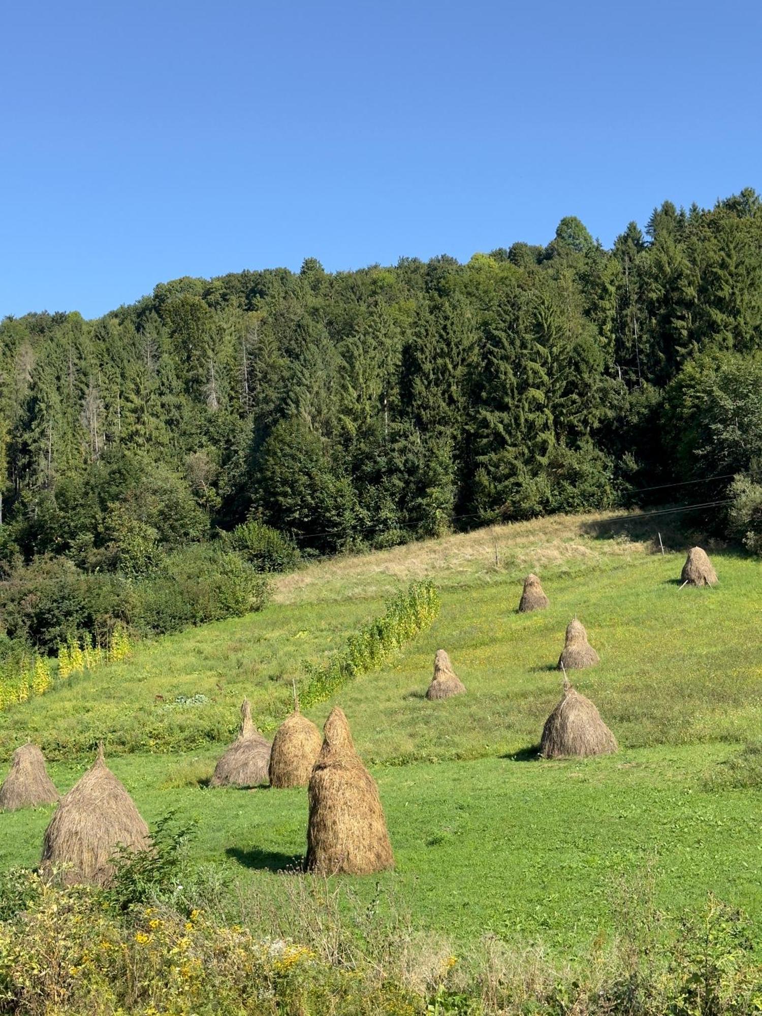 Під Боржавою Volovets Dış mekan fotoğraf